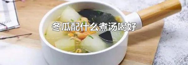 冬瓜配什么煮汤喝好