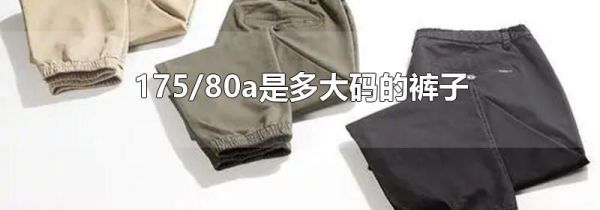 175/80a是多大码的裤子