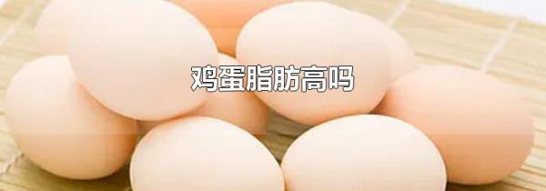 鸡蛋脂肪高吗