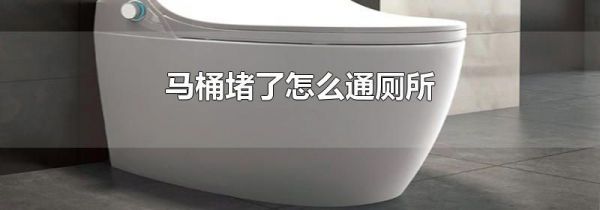 马桶堵了怎么通厕所