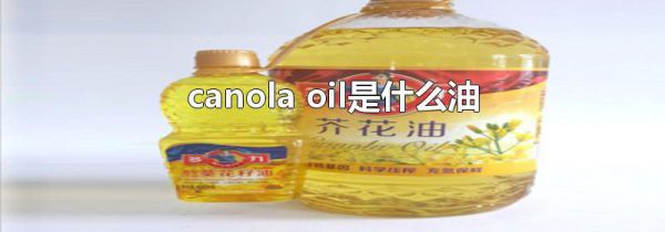 canola oil是什么油