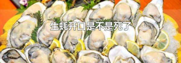 生蚝开口是不是死了