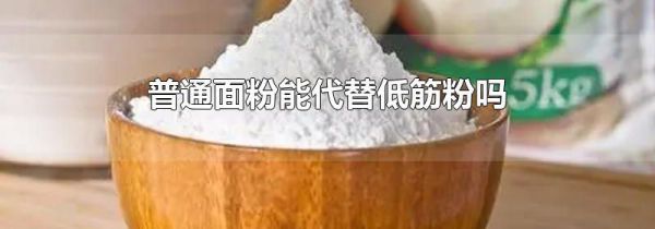普通面粉能代替低筋粉吗