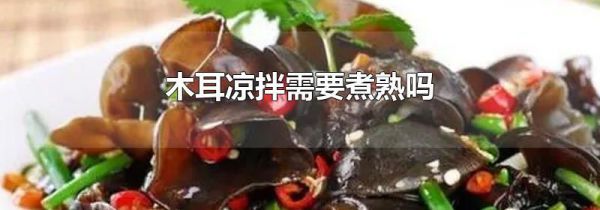 木耳凉拌需要煮熟吗