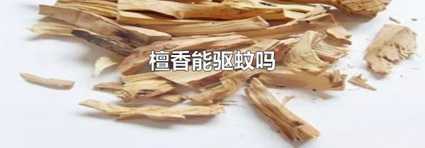 檀香能驱蚊吗
