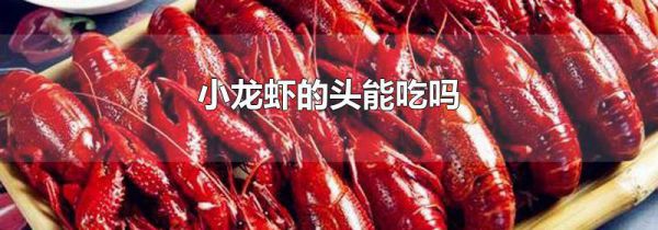 小龙虾的头能吃吗