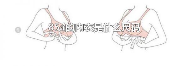85a的内衣是什么尺码