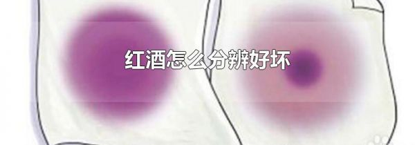 红酒怎么分辨好坏