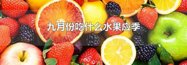 九月份吃什么水果应季