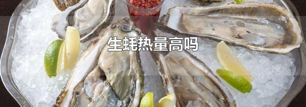 生蚝热量高吗