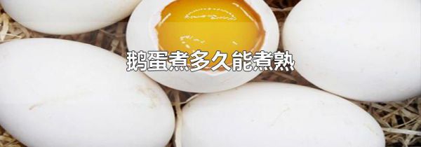 鹅蛋煮多久能煮熟