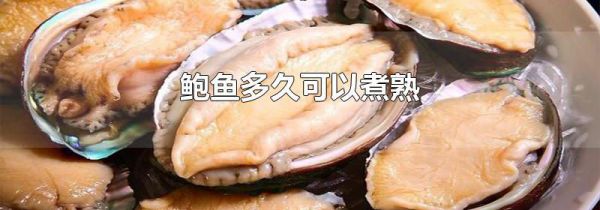鲍鱼多久可以煮熟