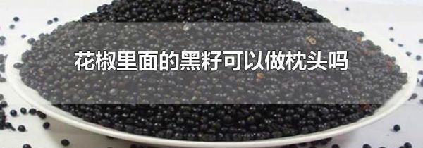 花椒里面的黑籽可以做枕头吗