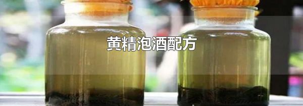 黄精泡酒配方