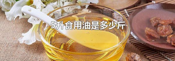 5升食用油是多少斤