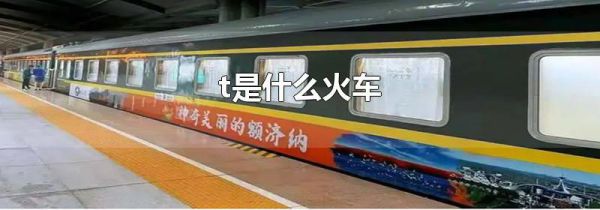 t是什么火车