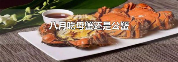 八月吃母蟹还是公蟹