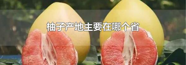 柚子产地主要在哪个省
