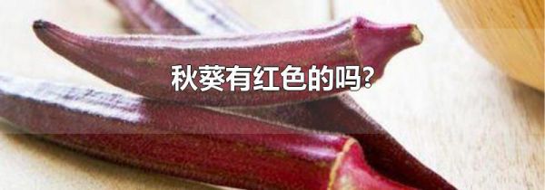 秋葵有红色的吗?