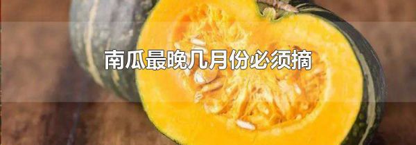 南瓜最晚几月份必须摘