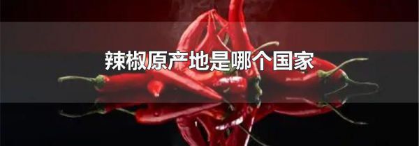 辣椒原产地是哪个国家
