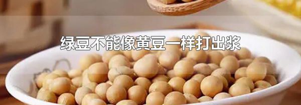绿豆不能像黄豆一样打出浆
