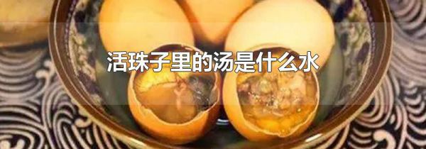 活珠子里的汤是什么水