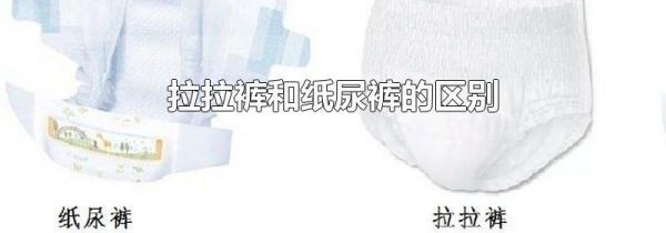 拉拉裤和纸尿裤的区别