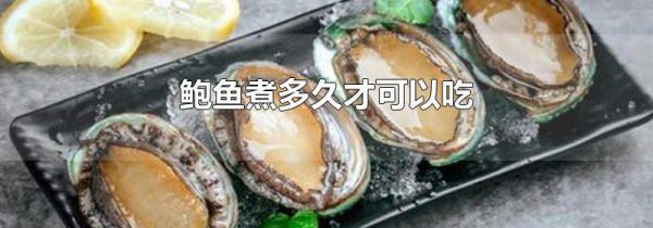 鲍鱼煮多久才可以吃