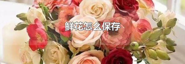 鲜花怎么保存