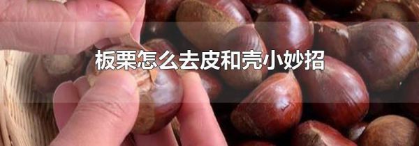 板栗怎么去皮和壳小妙招