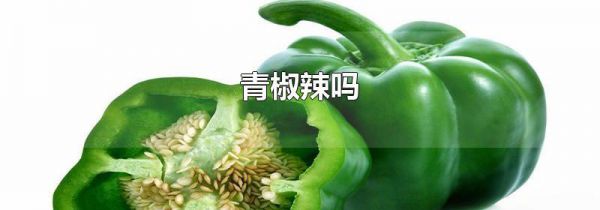 青椒辣吗
