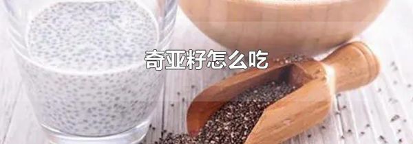 奇亚籽怎么吃
