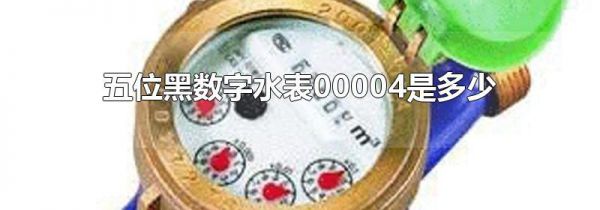 五位黑数字水表00004是多少