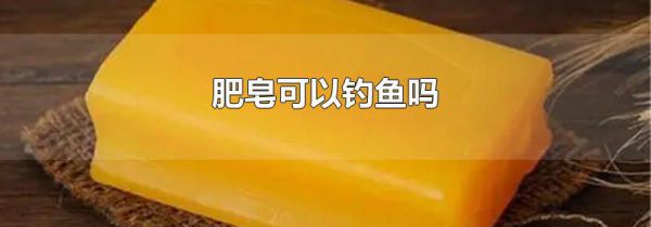 肥皂可以钓鱼吗