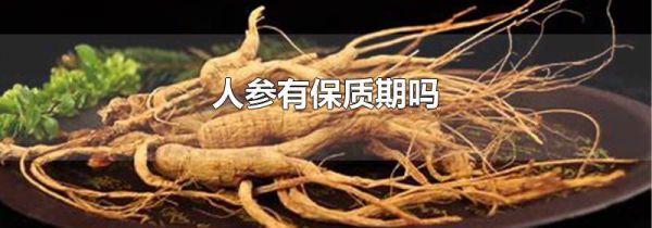 人参有保质期吗