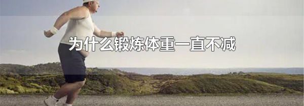 为什么锻炼体重一直不减