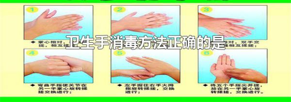 卫生手消毒方法正确的是