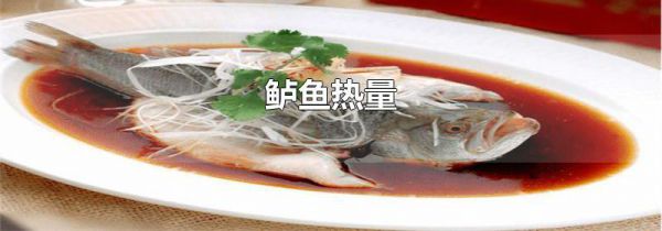 鲈鱼热量