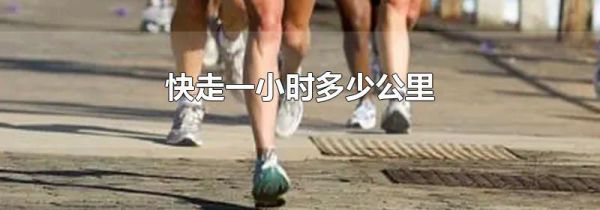 快走一小时多少公里