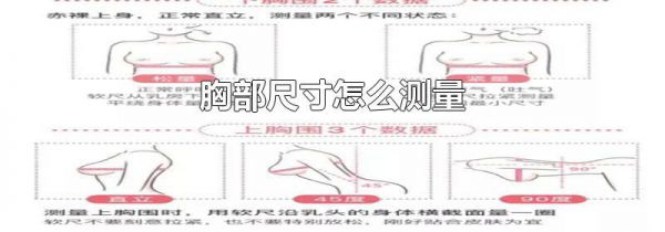 胸部尺寸怎么测量