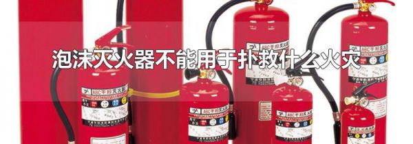 泡沫灭火器不能用于扑救什么火灾