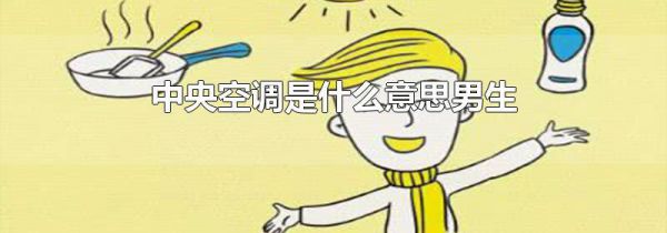 中央空调是什么意思男生
