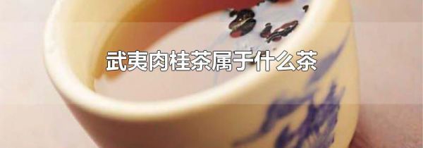 武夷肉桂茶属于什么茶