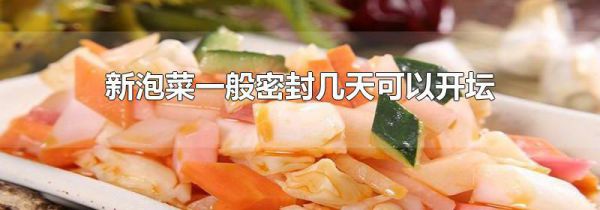 新泡菜一般密封几天可以开坛