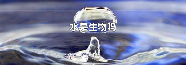 水是生物吗