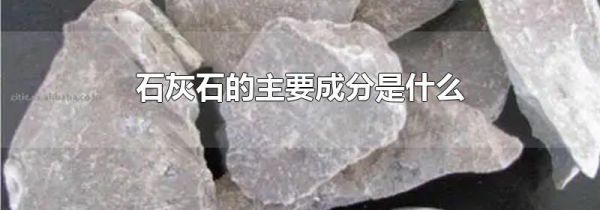 石灰石的主要成分是什么