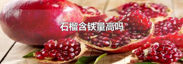 石榴含铁量高吗