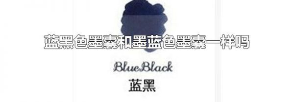 蓝黑色墨囊和墨蓝色墨囊一样吗