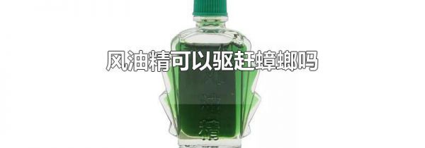 风油精可以驱赶蟑螂吗